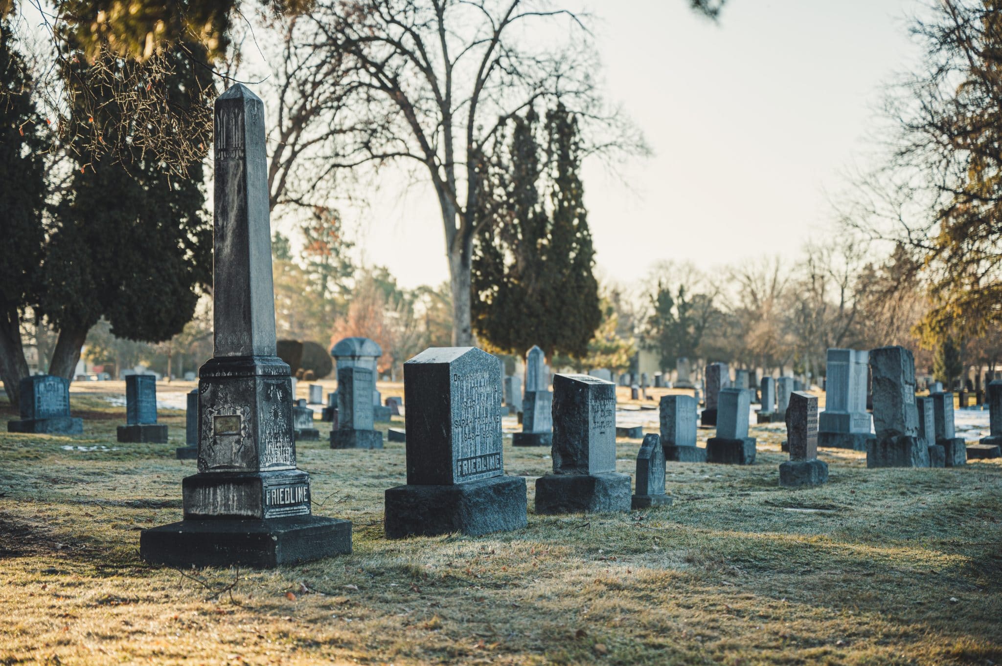 cremation and funeral costs