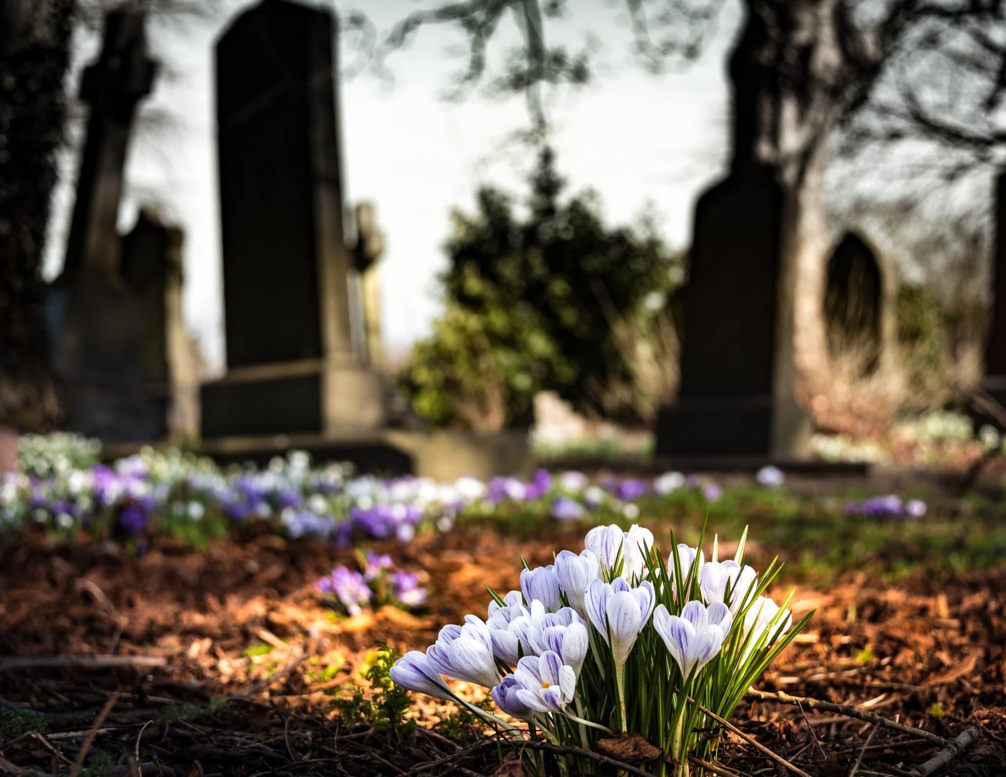 choosing a headstone