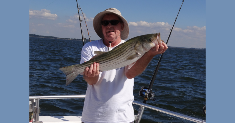 Andrew B. Kelly Obituary, Brookhaven, PA